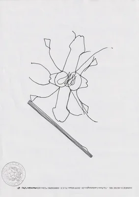 DSG 1